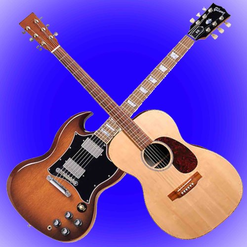 Lektor Kytara, Elektrická kytara, Akustická kytara